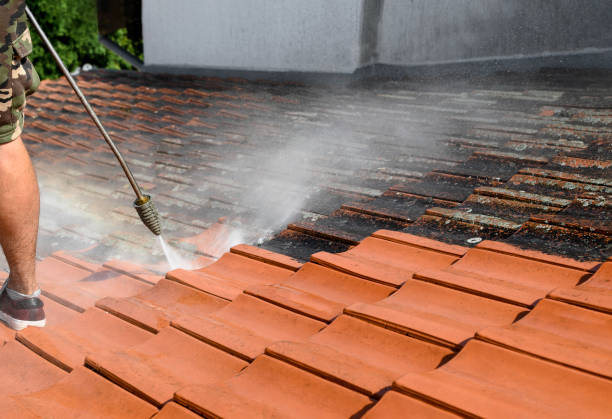 Best Concrete Pressure Washing  in Moulton, AL