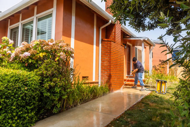 Best Best Pressure Washing Companies  in Moulton, AL