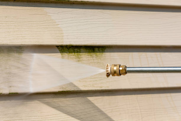 Professional Pressure Washing in Moulton, AL